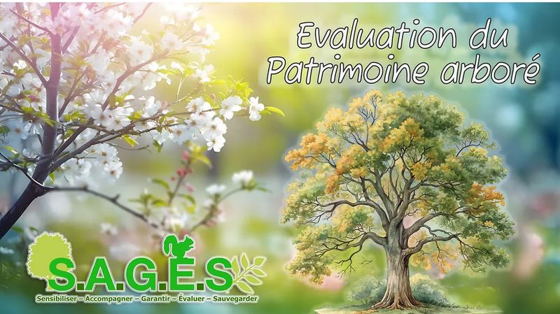 Photo 4 de S.A.G.E.S Sensibiliser Accompagner Garantir Evaluer Sauvegarder